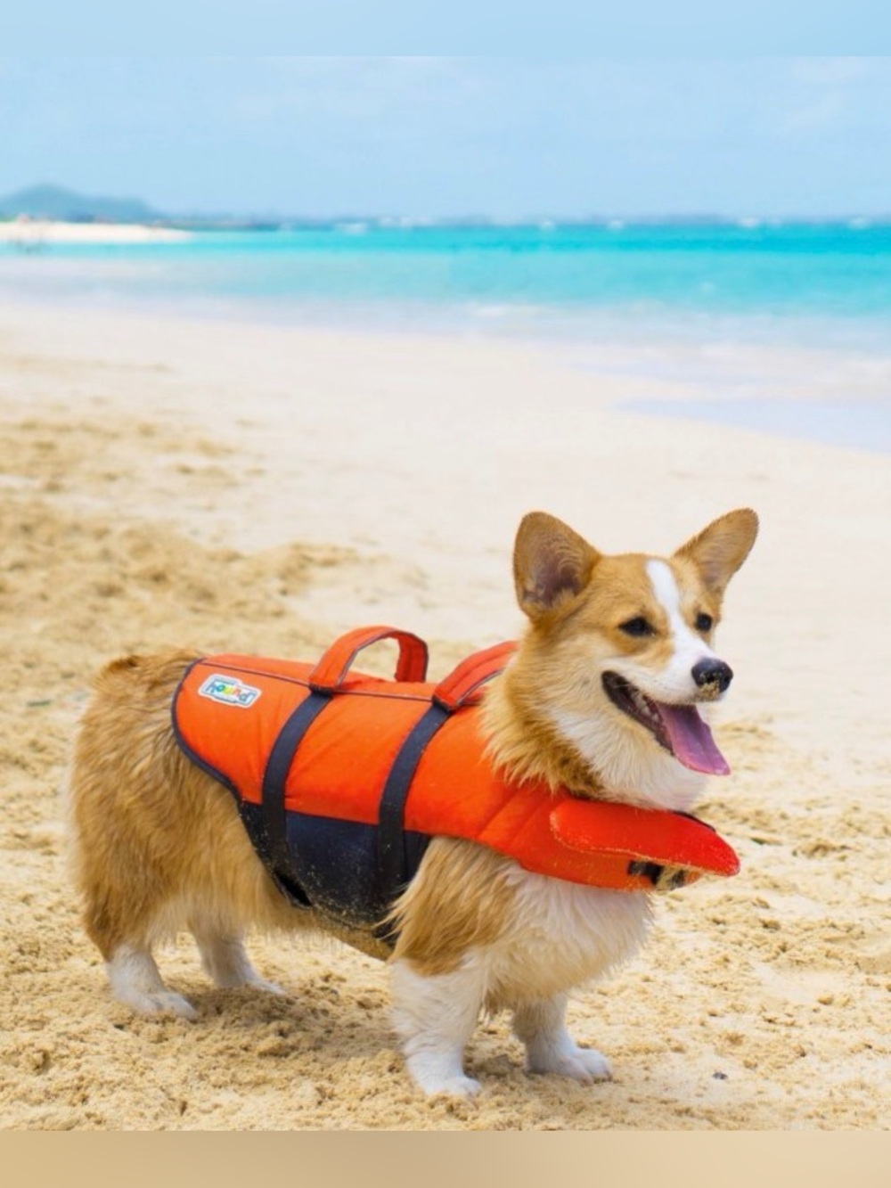 NEW Outward Hound Orange Dog Life Jacket with Handle - Medium (30-55 lbs)